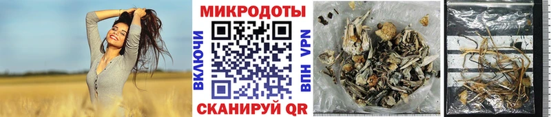 Галлюциногенные грибы прущие грибы hydra маркетплейс Геленджик