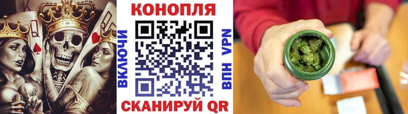 МЕГА   Геленджик  Каннабис индика 